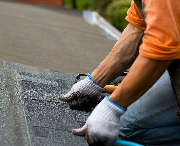 Professional Roofing Contractor in Lake Camelot, IL